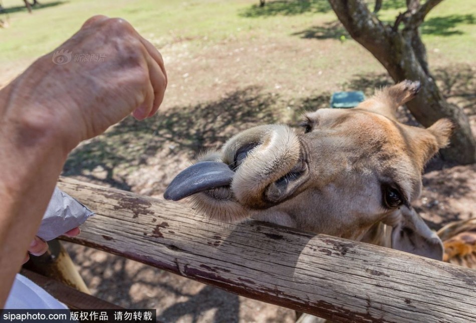 中央一套电视直播-乐鱼app(leyu)官方网站-乐鱼官网