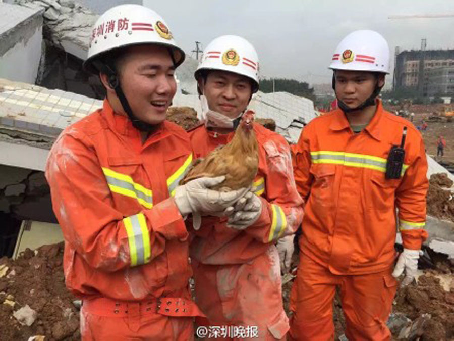 深圳滑坡现场 消防员小伙救出一只鸡