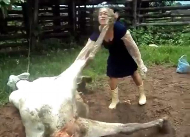 中央8套节目表-乐鱼app(leyu)官方网站-乐鱼官网