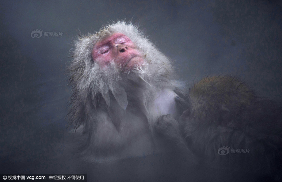 罗纳尔多过人-乐鱼app(leyu)官方网站-乐鱼官网