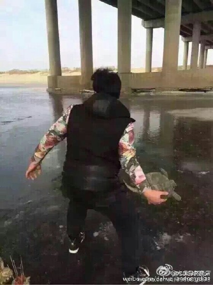 旅游卫视在线直播-乐鱼app(leyu)官方网站-乐鱼官网