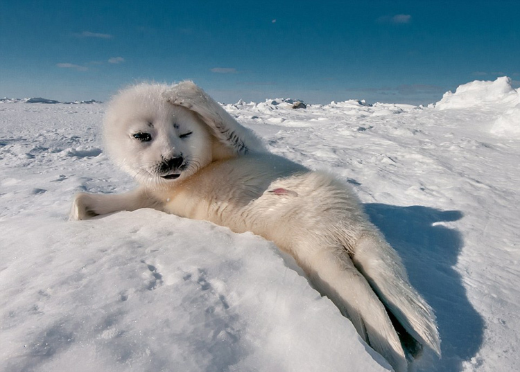 爱布谷直播-乐鱼app(leyu)官方网站-乐鱼官网