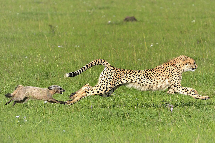 美国内衣橄榄球-乐鱼app(leyu)官方网站-乐鱼官网