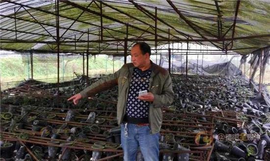 智慧之星-乐鱼app(leyu)官方网站-乐鱼官网