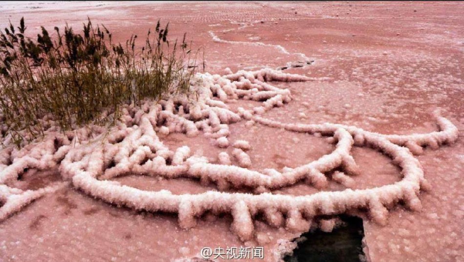 xjbt-乐鱼体育(LEYU)中国官网-app登录入口