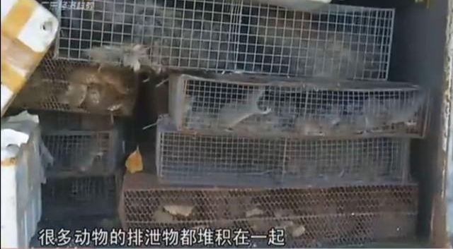 nba新规则-乐鱼app(leyu)官方网站-乐鱼官网