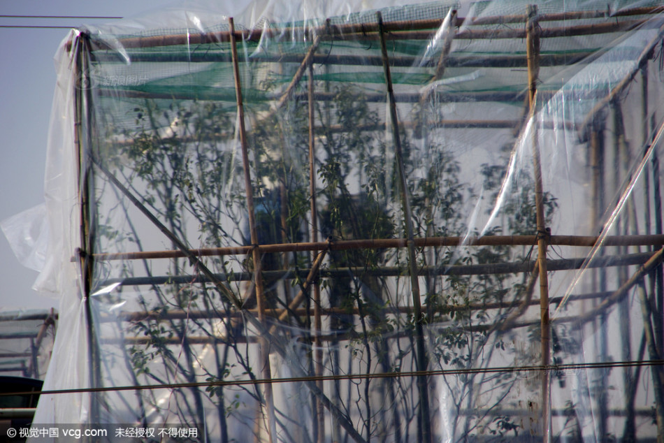 蹴鞠小英雄-乐鱼app(leyu)官方网站-乐鱼官网