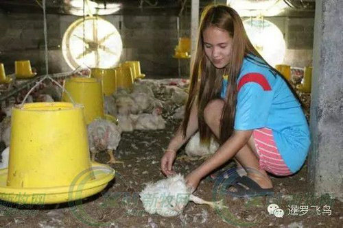 巴萨2013球衣-爱游戏app(中国)官方网站下载_ayx体育app下载