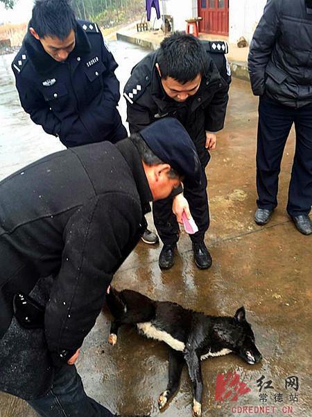 孔卡回归-乐鱼app(leyu)官方网站-乐鱼官网