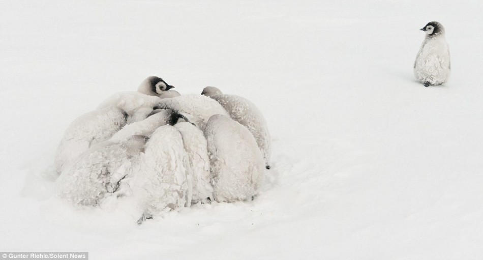 纽约尼克斯vs热火