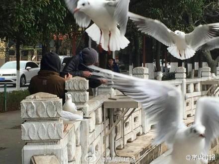 80万公款送礼-乐鱼app(leyu)官方网站-乐鱼官网