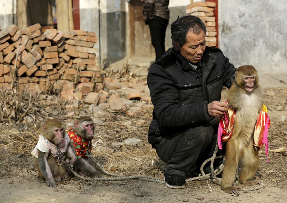 巴萨最近赛程-乐鱼app(leyu)官方网站-乐鱼官网