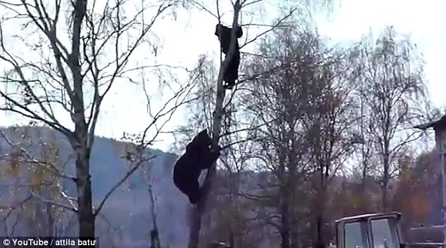 cluo-乐鱼app(leyu)官方网站-乐鱼官网