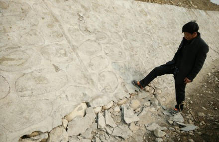 山东体育频道直播-乐鱼app(leyu)官方网站-乐鱼官网