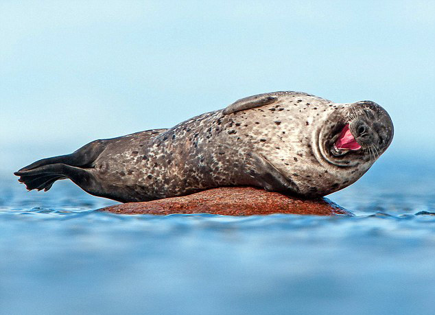 巴萨vs瓦伦西亚-乐鱼app(leyu)官方网站-乐鱼官网