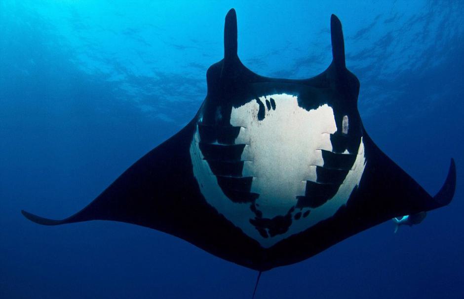 葡萄牙出线形势-爱游戏App官方下载入口-爱游戏