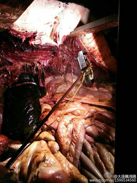 世界杯球衣-万博体育(官网)官方网站-万博体育app官网下载-ManBetX