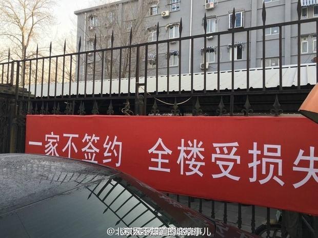 白金岛三打哈