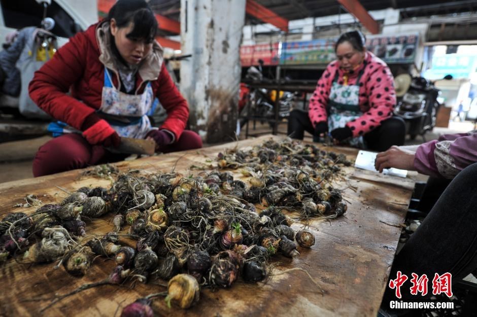 雷腾龙-乐鱼app(leyu)官方网站-乐鱼官网