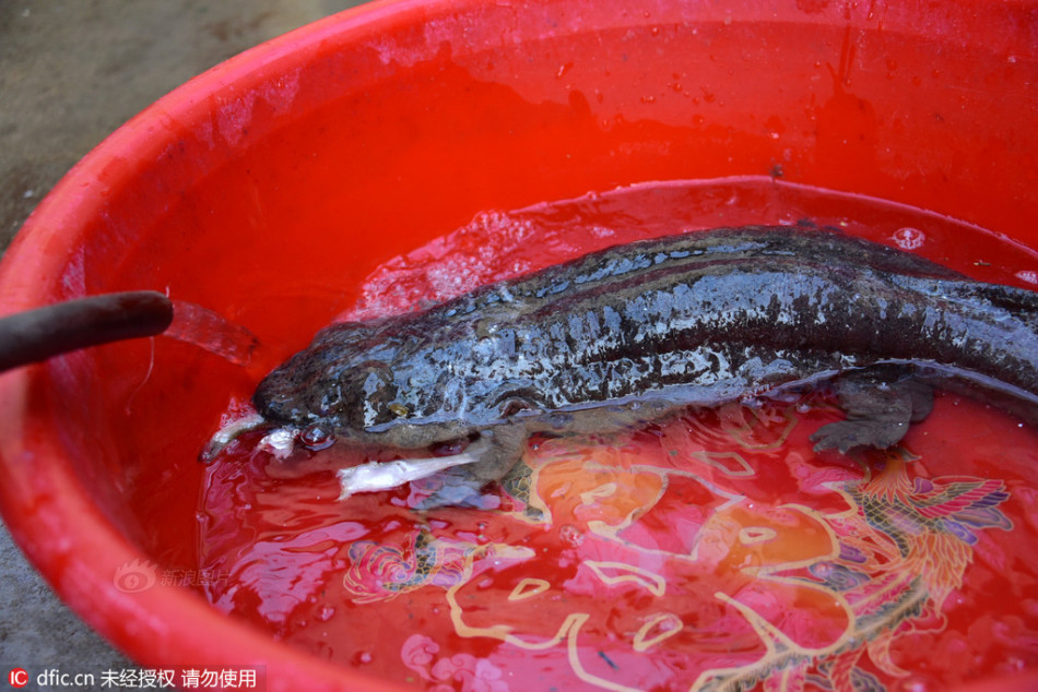 河南建业vs广州恒大-万博·体育(ManBetX)官方网站_ManBetx