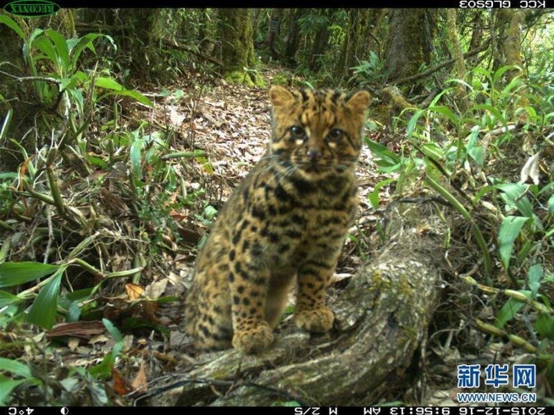 隋维杰-乐鱼app(leyu)官方网站-乐鱼官网