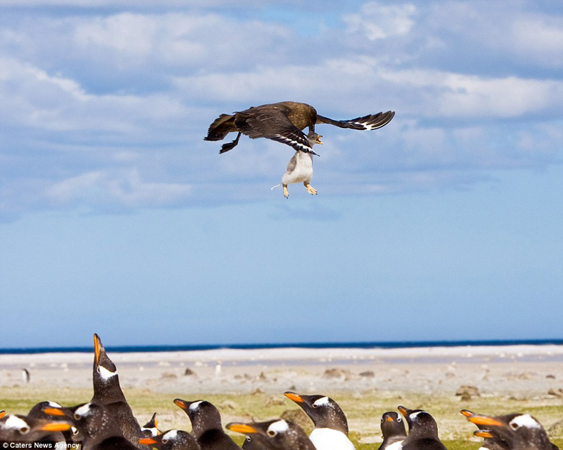 周挺微博-乐鱼app(leyu)官方网站-乐鱼官网