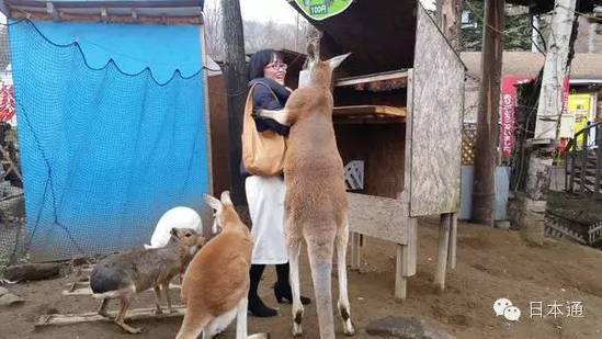 杰拉德兰帕德-九游体育(JIUYOU)官方网站-APP下载官网入口