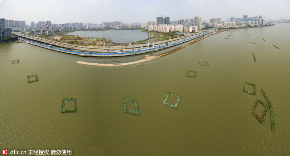 c罗手机壁纸-乐鱼app(leyu)官方网站-乐鱼官网