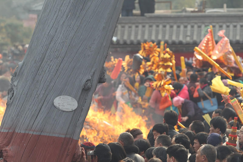 500岁 古树疑被香火烤死  官方否认(4)-冒泡新闻