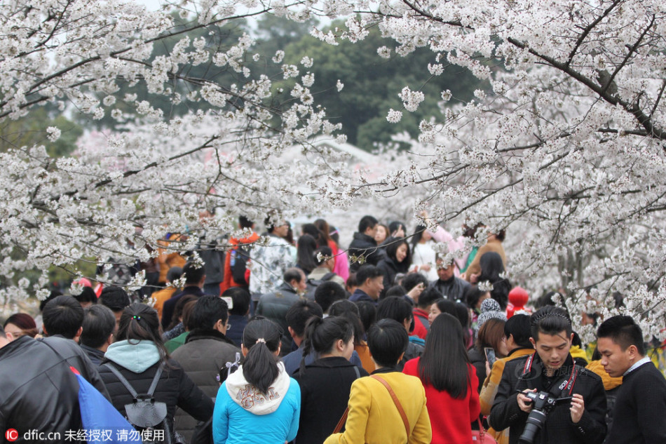 重庆近况-乐鱼app(leyu)官方网站-乐鱼官网