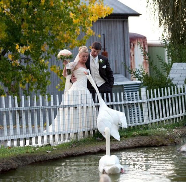 卓越的勇士-乐鱼app(leyu)官方网站-乐鱼官网