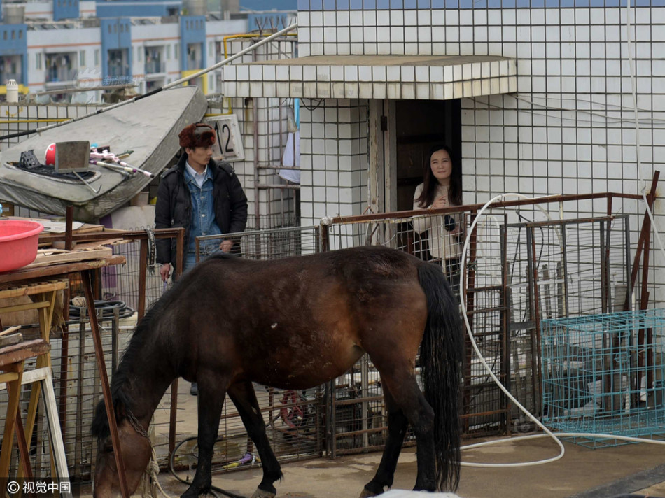 美国摔跤大赛-乐鱼app(leyu)官方网站-乐鱼官网