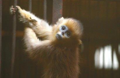 本阿尔法-乐鱼app(leyu)官方网站-乐鱼官网