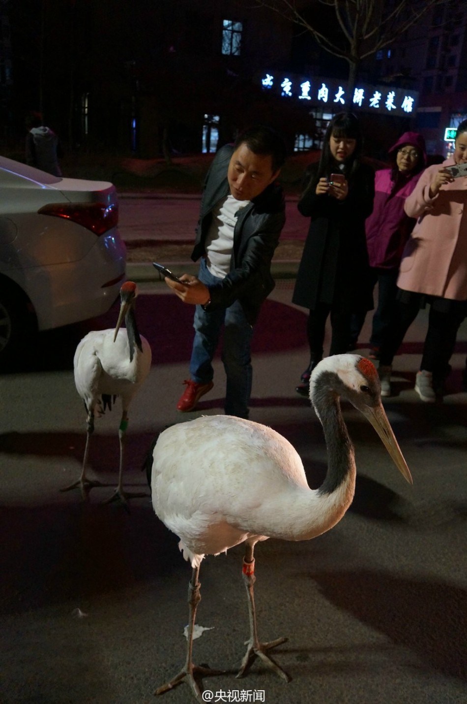 恒大世俱杯赛程-乐鱼app(leyu)官方网站-乐鱼官网