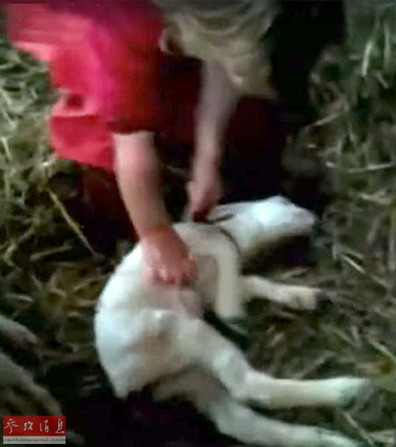 丁丁地图 苏州-乐鱼app(leyu)官方网站-乐鱼官网