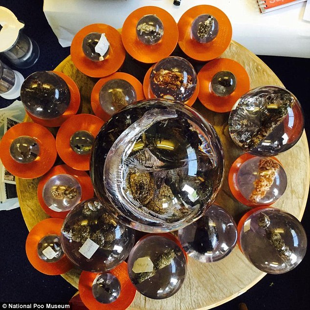 阿森纳中文官网-乐鱼app(leyu)官方网站-乐鱼官网