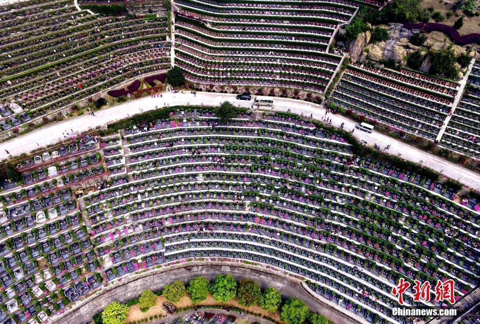 乌克兰vs英格兰-乐鱼app(leyu)官方网站-乐鱼官网