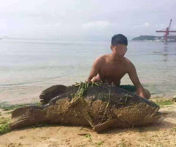 阿森纳 那不勒斯-爱游戏app（中国）官方网站下载_ayx体育app下载