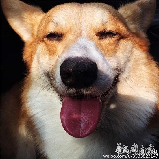 皇马10号-乐鱼app(leyu)官方网站-乐鱼官网