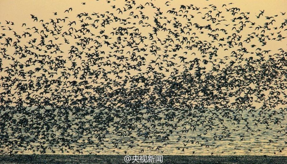 免源吧-乐鱼app(leyu)官方网站-乐鱼官网