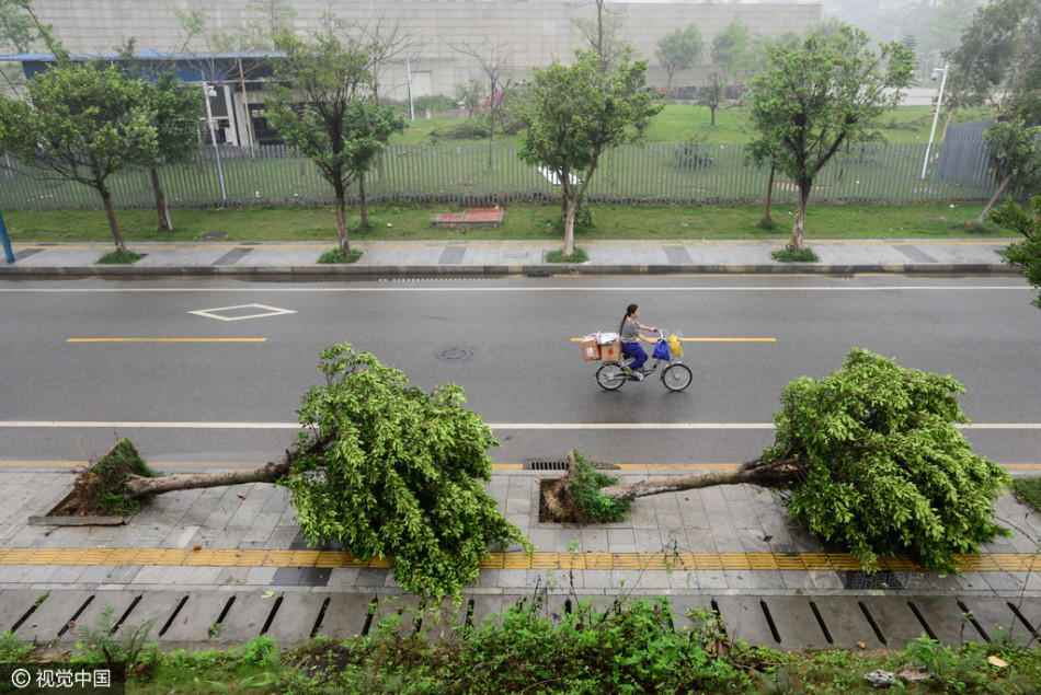  美女纽约汉服快闪 (3)图片  美女纽约汉服快闪 (3