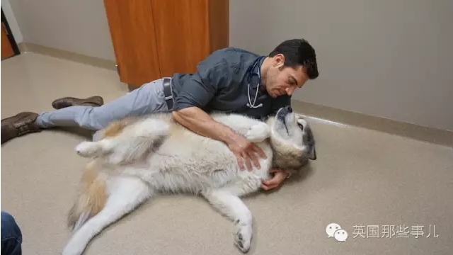 切尔西最佳阵容