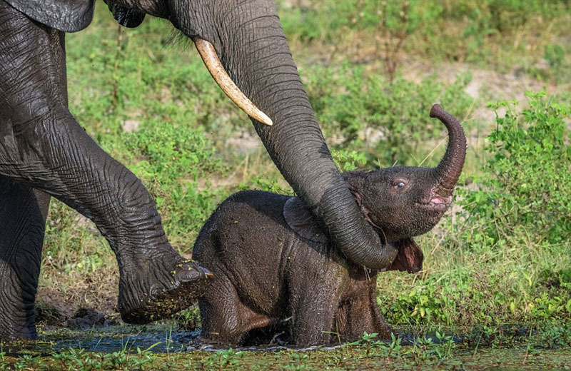 浙江6频道直播-乐鱼app(leyu)官方网站-乐鱼官网