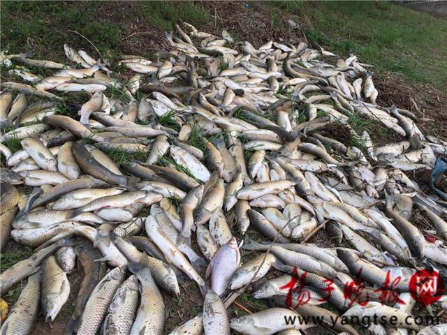 鲁尼吉格斯-爱游戏App官方下载入口-爱游戏