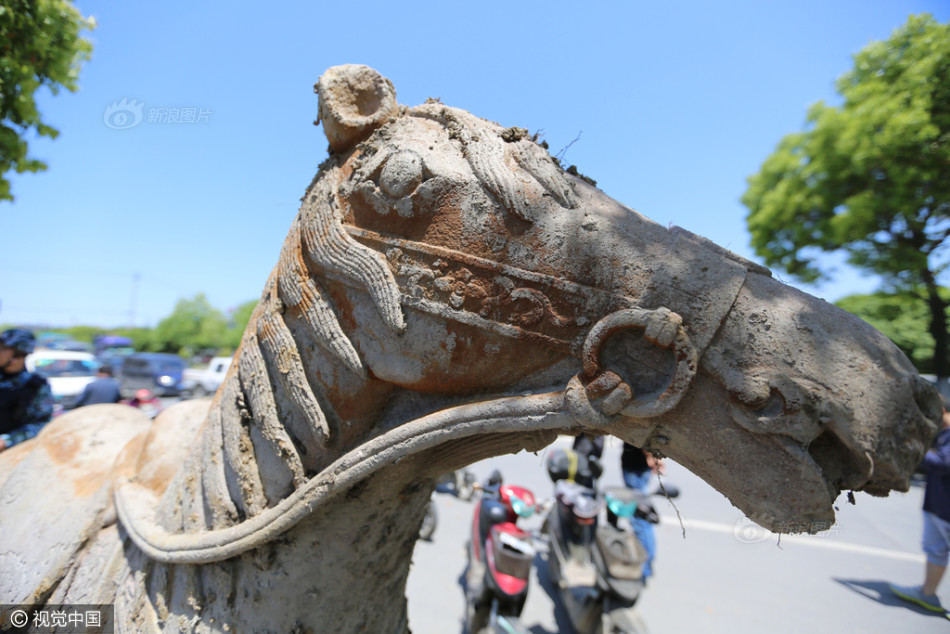  浙江古墓现 萌物  石刻 墓主为海军提督 -- 佛山E