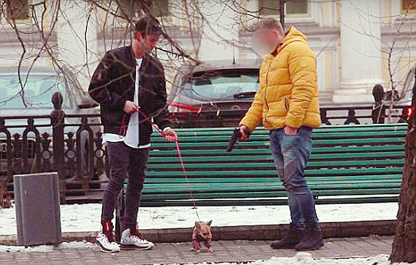 西索科-乐鱼app(leyu)官方网站-乐鱼官网