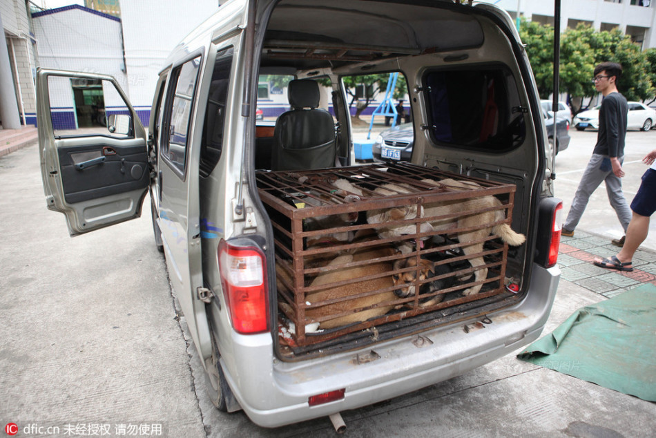 万亚马-乐鱼app(leyu)官方网站-乐鱼官网