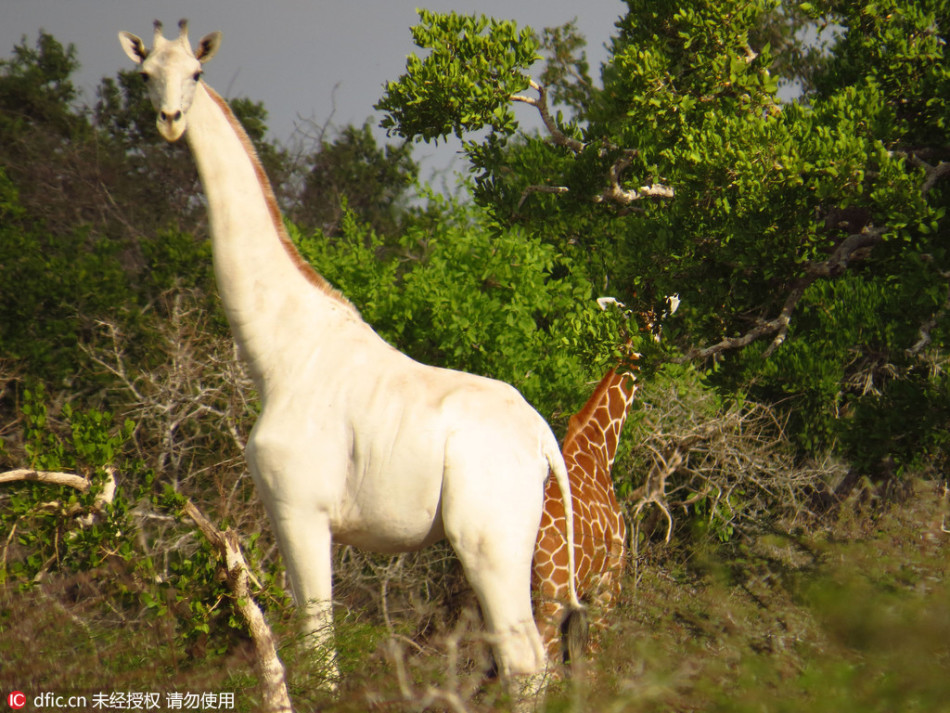 足总杯重赛-万博体育(官网)官方网站-万博体育app官网下载-ManBetX