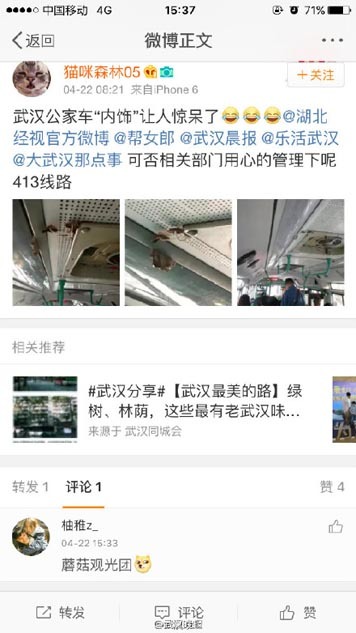 武汉 公交 车 车厢长出蘑菇  乘客称养分充足 -- 佛