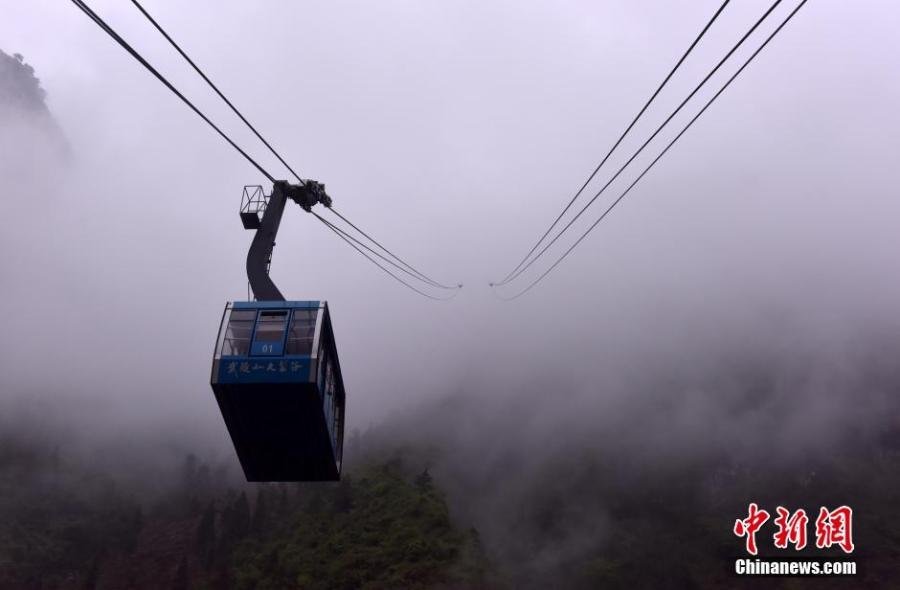 克林斯曼 勒夫-乐鱼app(leyu)官方网站-乐鱼官网